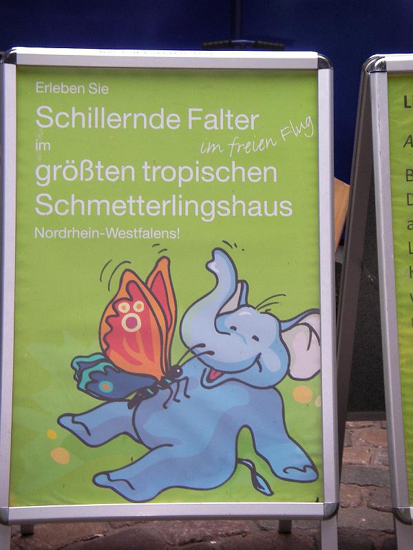 LV Zeltlager 2008 071.jpg